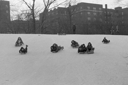 Children sledding down the 'Toilet Bowl' - a topographical depression at Union Turnpike and the Grand Central Parkway (1974).