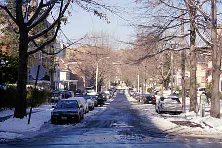 120th Street looking north to 84th Avenue in Kew Gardens, NY.