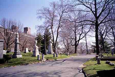 The Prospect section of Maple Grove Cemetery in Kew Gardens, NY just past the Administrative Office.