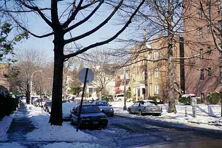 120th Street looking north to Metropolitan Avenue, Kew Gardens, NY.